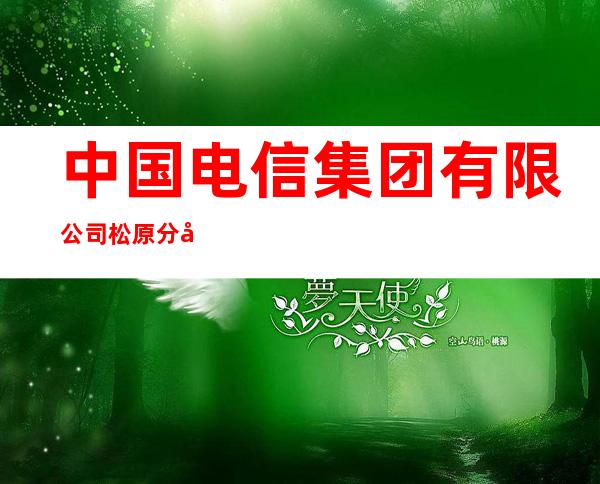 中国电信集团有限公司松原分公司源江路营业厅