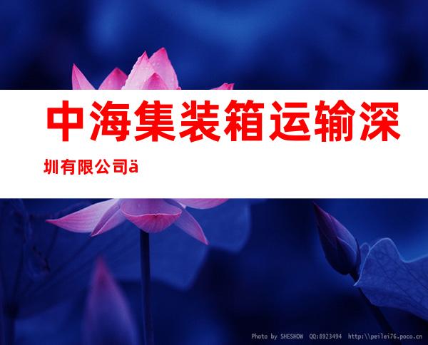 中海集装箱运输深圳有限公司东莞分公司