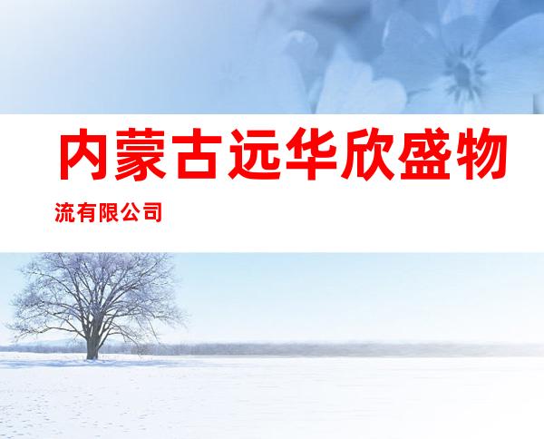 内蒙古远华欣盛物流有限公司