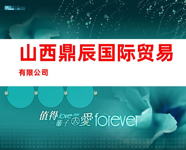 山西鼎辰国际贸易有限公司