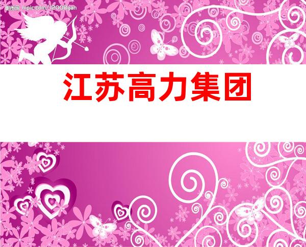江苏高力集团